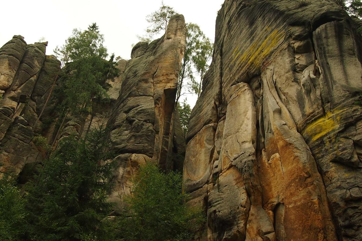 Non quis commodi repellat