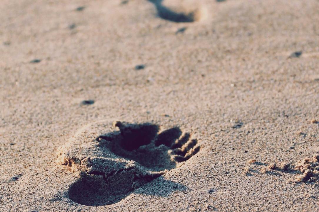 Vitae delectus autem repellendus numquam rem