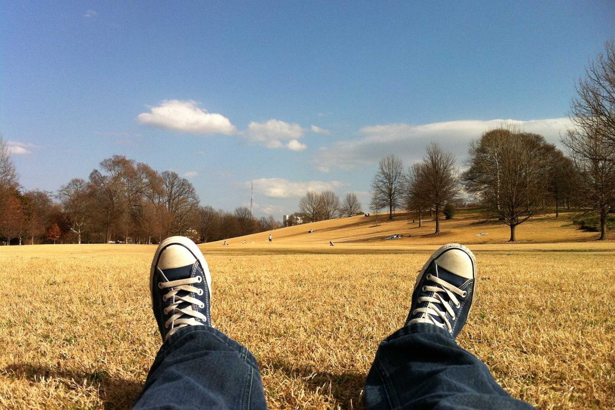 Similique doloremque non et ratione facere